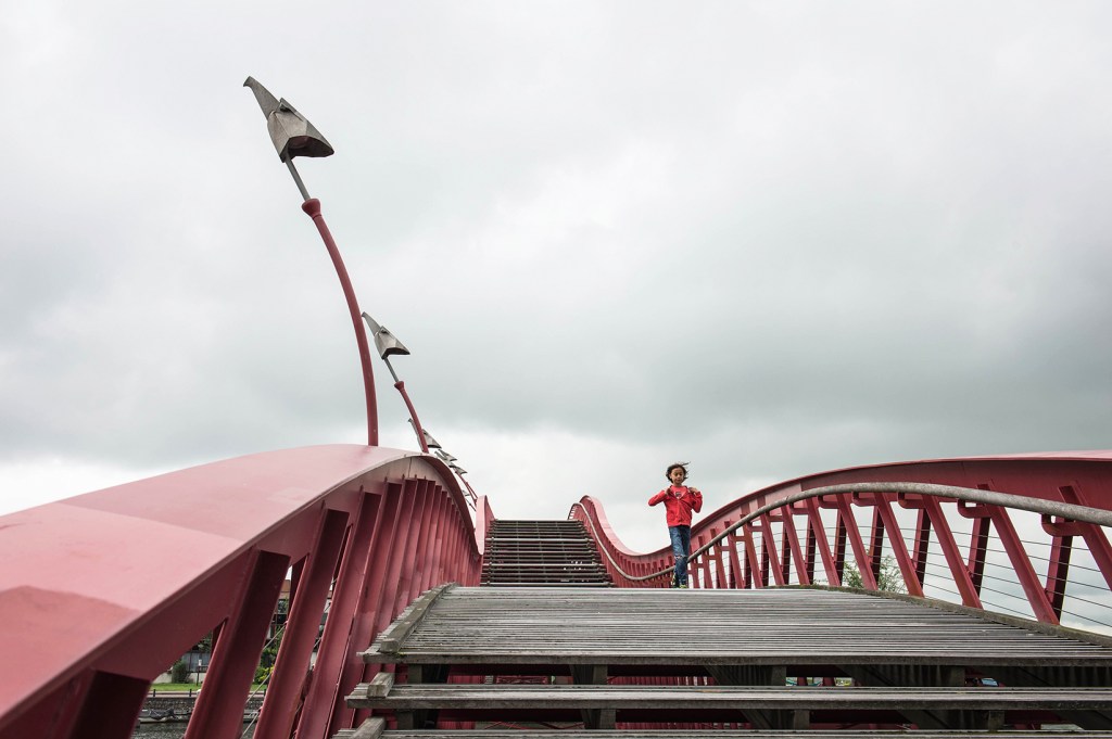 今年の夏は・・・・