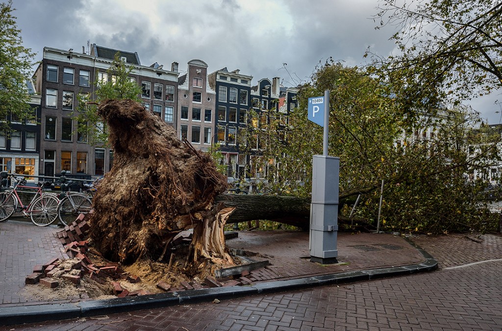 1990年以来最大の嵐が・・・