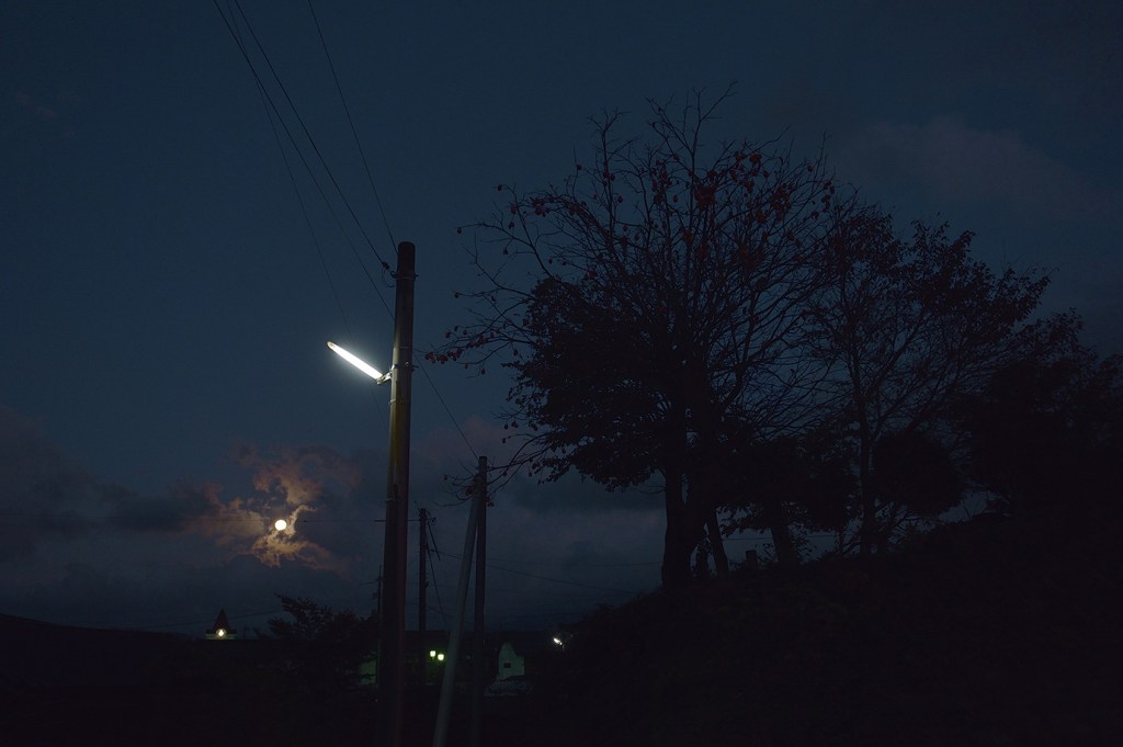 映画「みんなのアムステルダム国立美術館へ」に登場する仁王像のふるさと