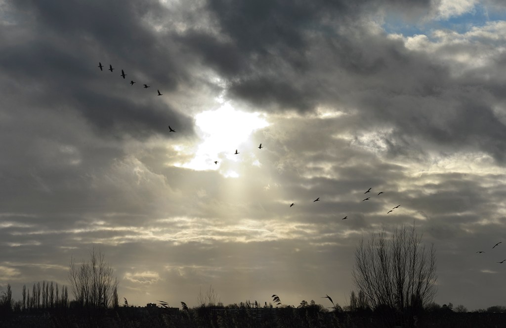 ヨリス・ライエンダイクの金融の話