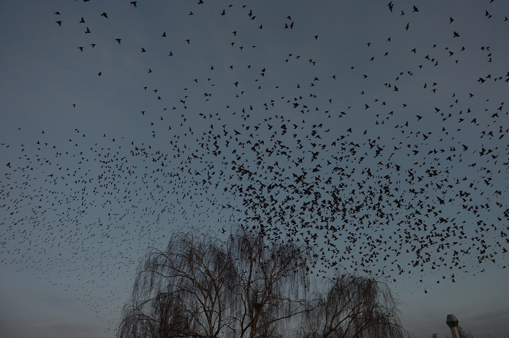 アムステルダム上空を横切る黒い雲