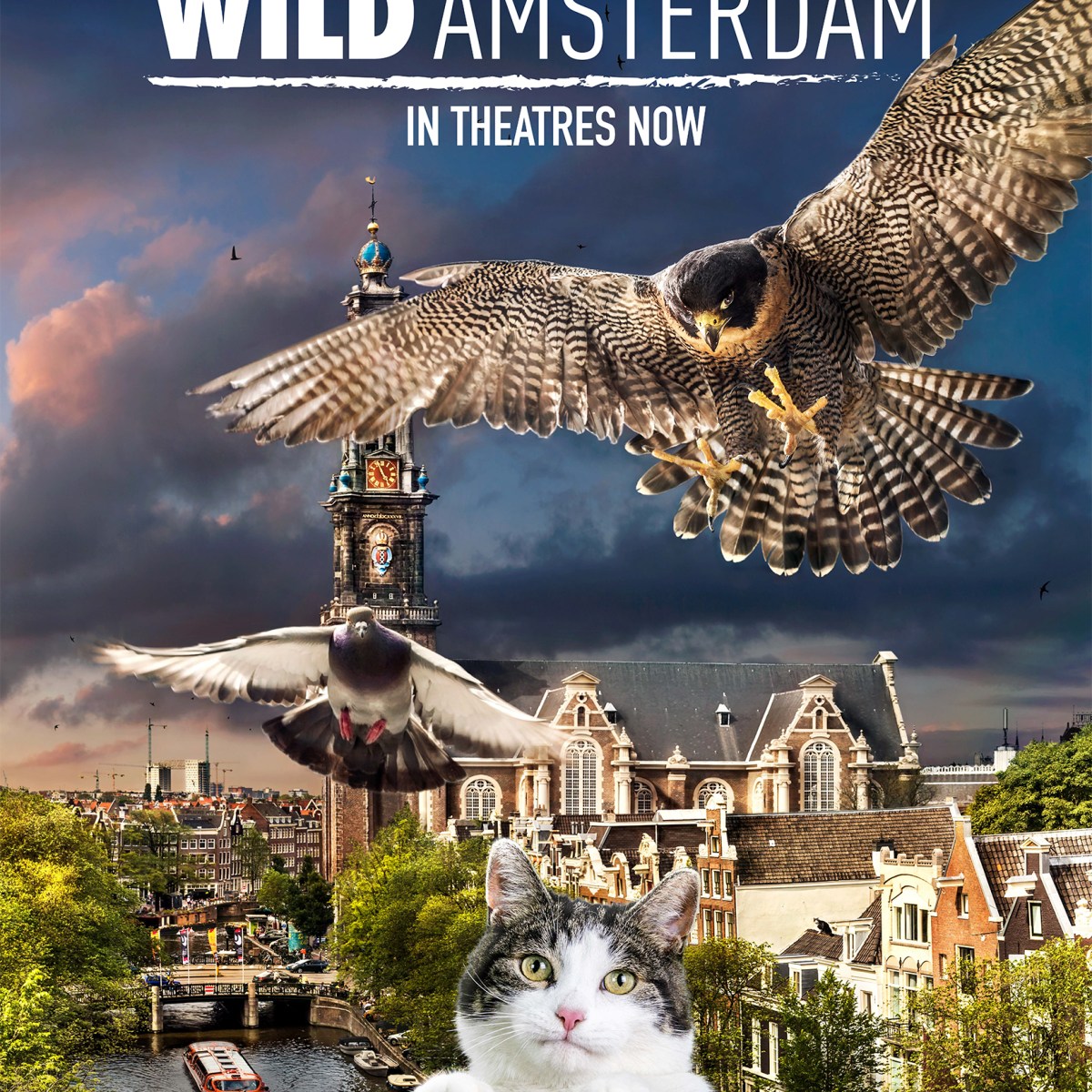 映画「ワイルド・アムステルダム」