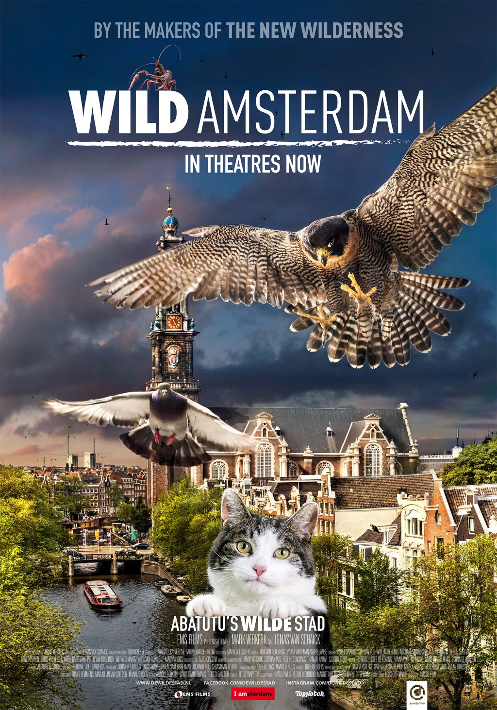 映画「ワイルド・アムステルダム」